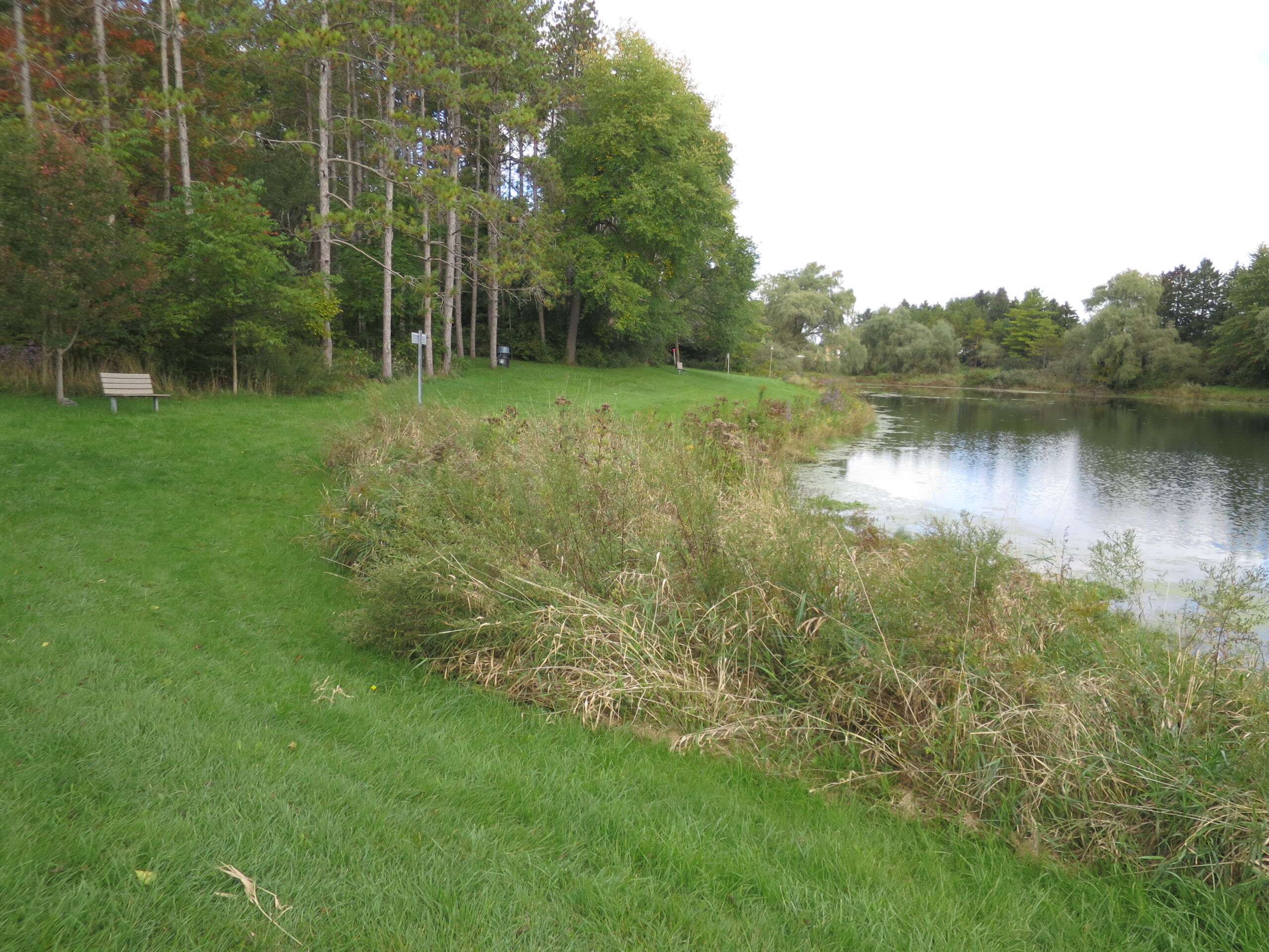 A grassy area next to a river.