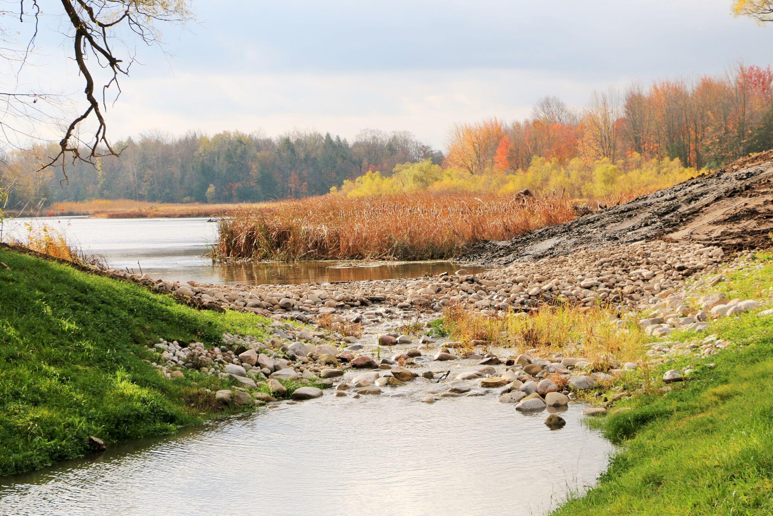 A creek