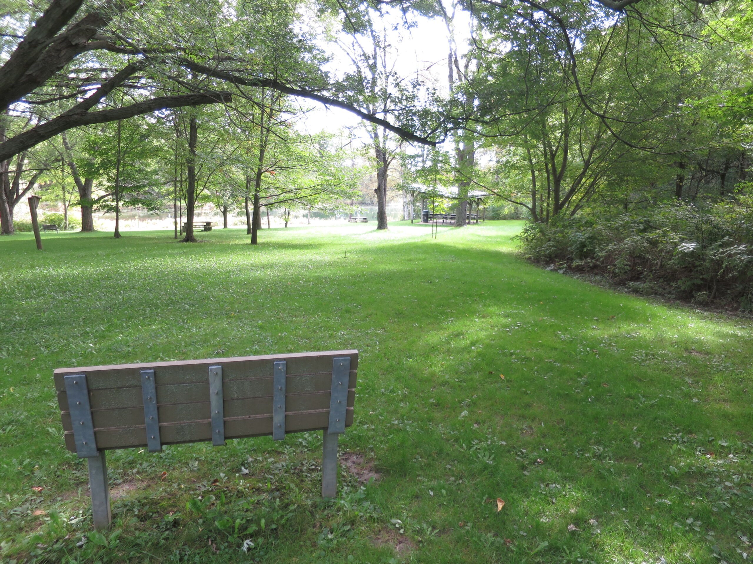 A park bench in a grassy field.
