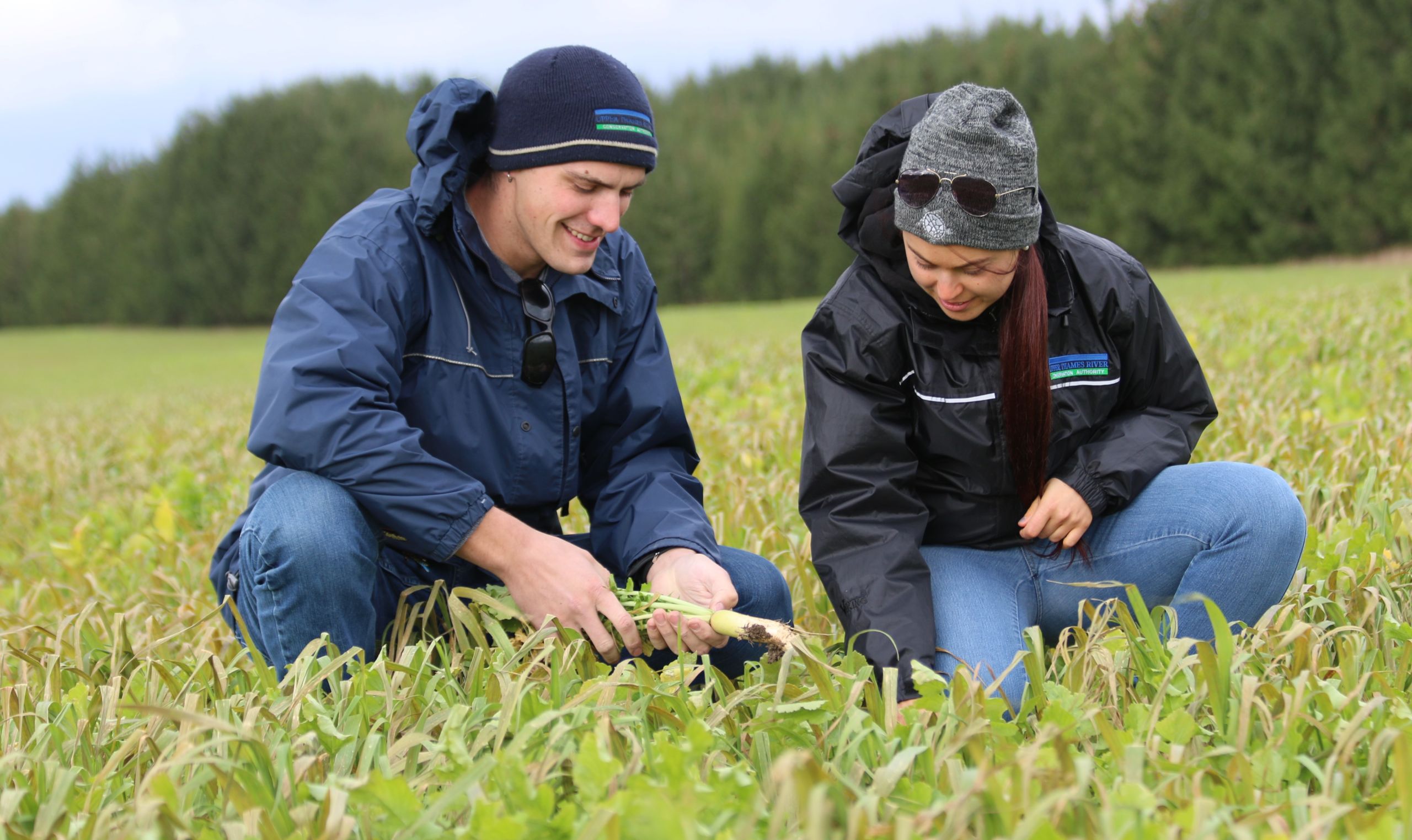 Two staff crouching in a farmers field, looking at the plants