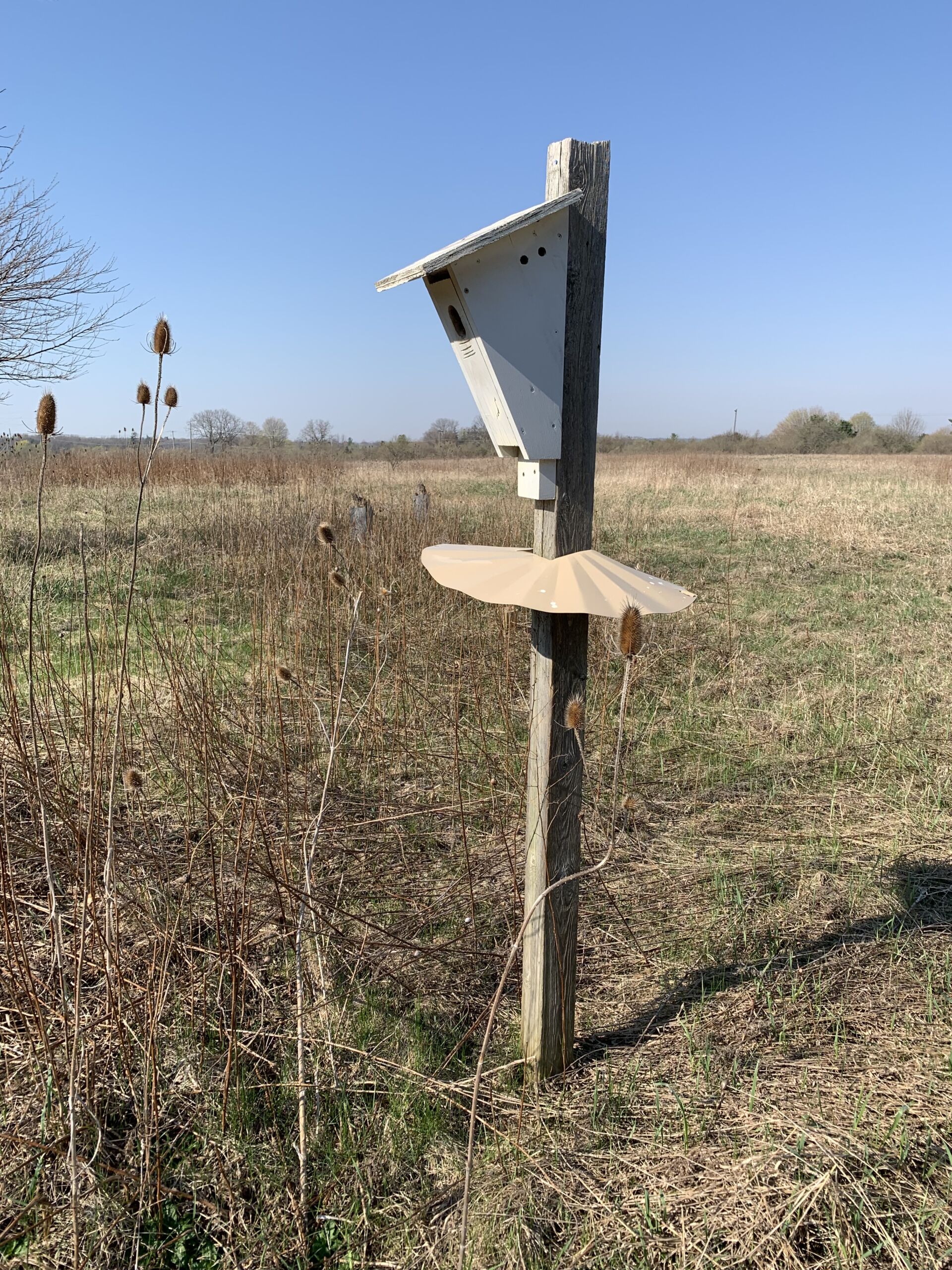 The side profile of a bird box in a field.