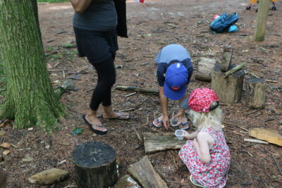 Two kids collecting items found in nature