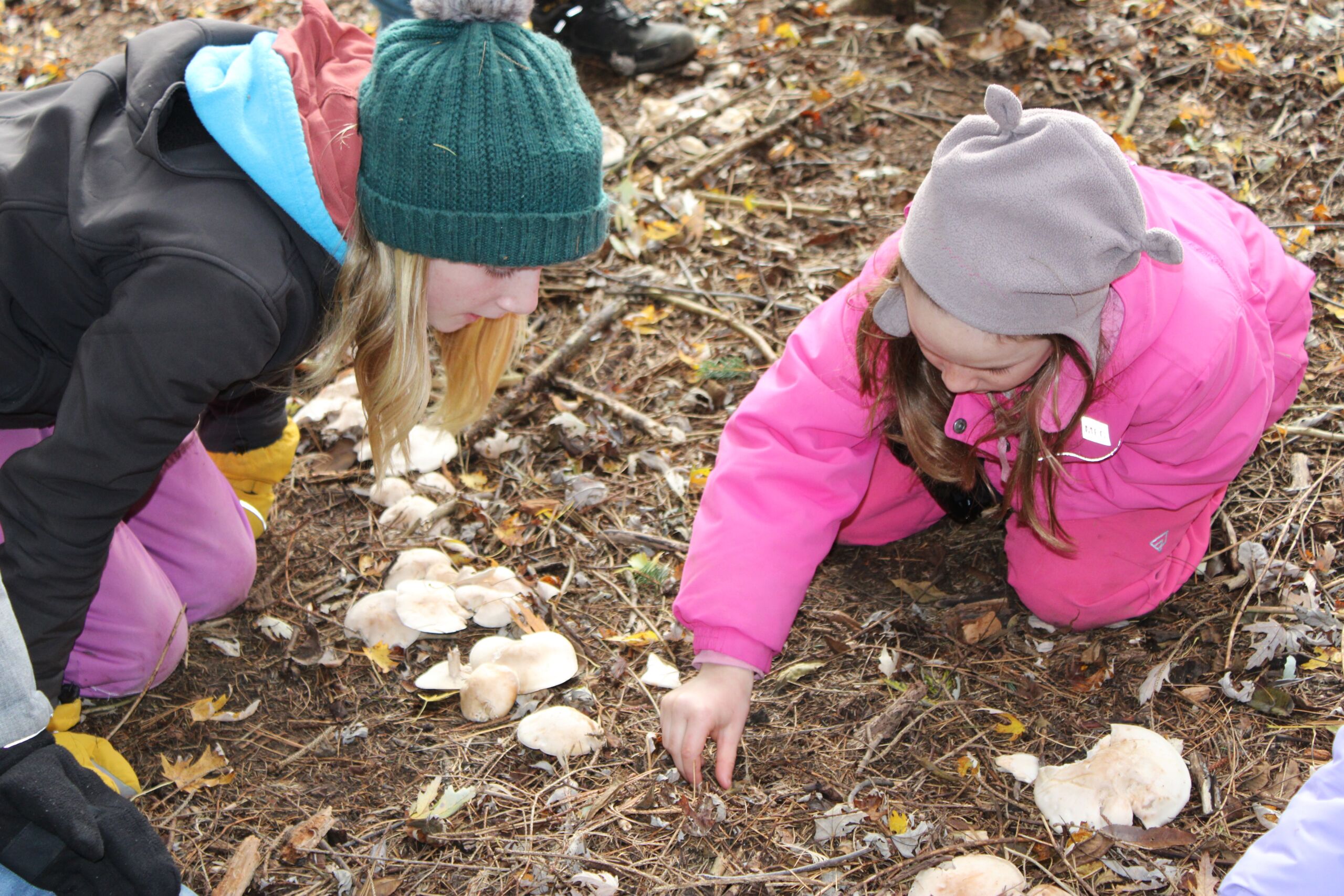 Two students look at mushrooms growing on the ground.
