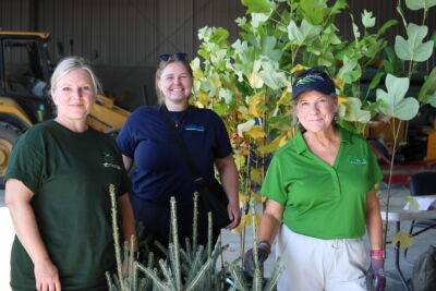 Staff stand with trees at hand out