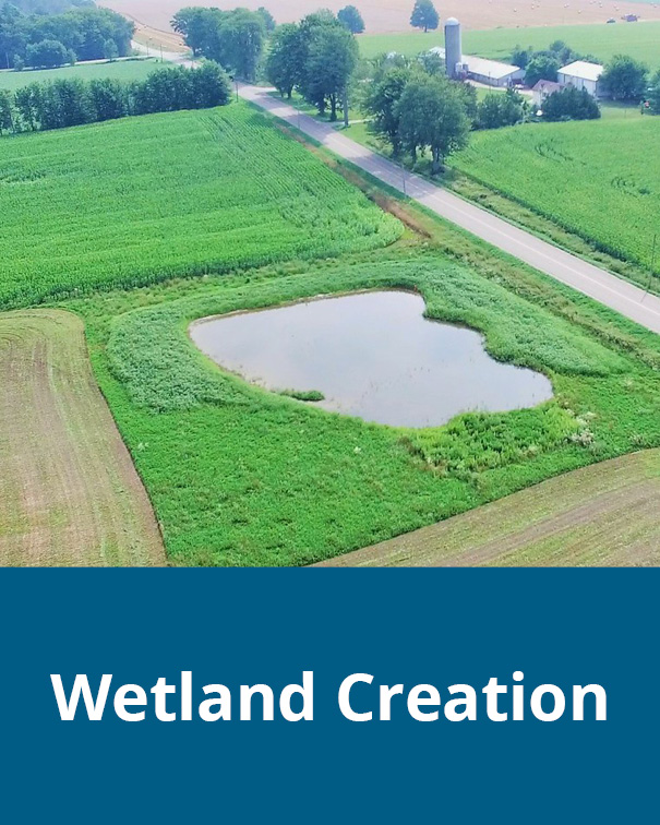 A wetland in a farm field