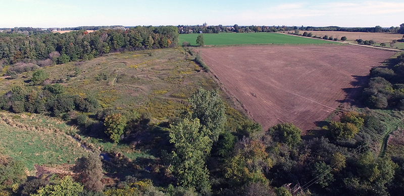 Aerial view of trees and fields