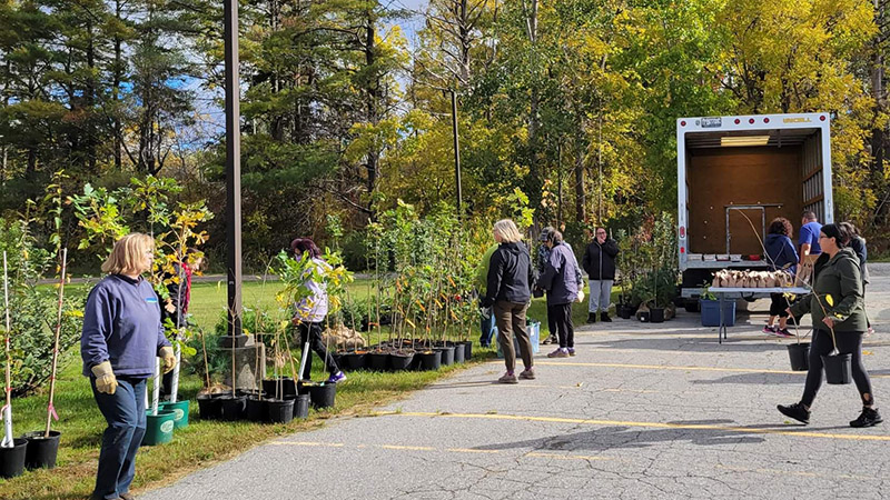 Several people move potted trees from the back of a truck to the side of a roadway.