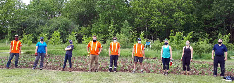 St Marys and UTRCA staff plant pollinator garden next to Sparling Bush