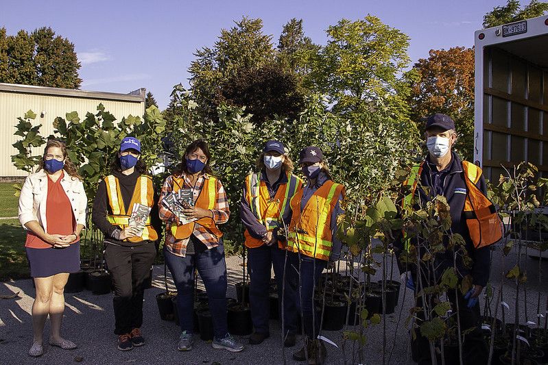 People wearing safety vests stand in front of potted trees
