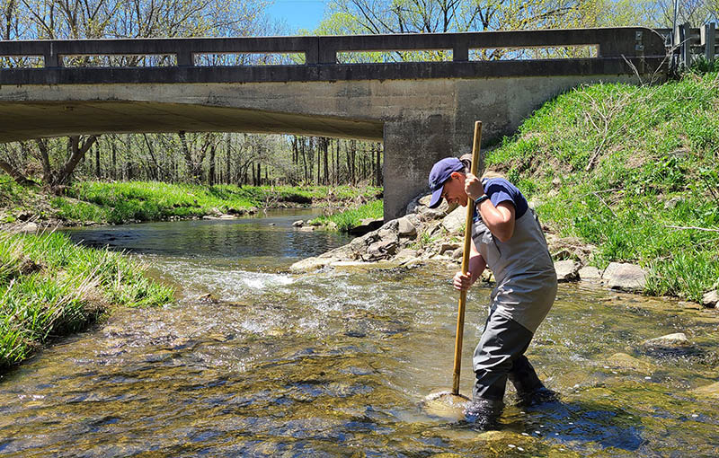 UTRCA staff wearing chest waders and holding a net, walks across a stream