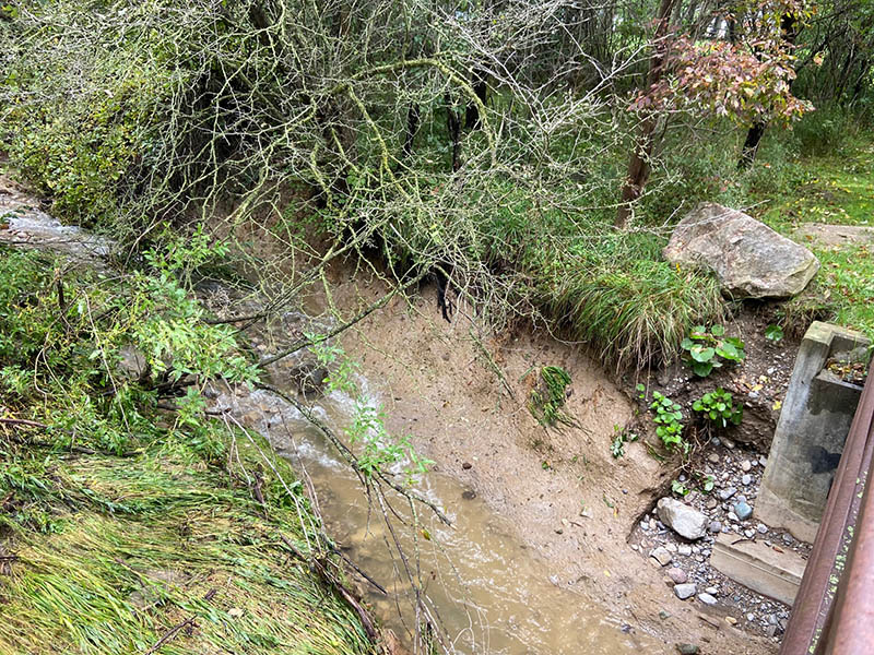 Eroded and undercut streambank at Wildwood CA