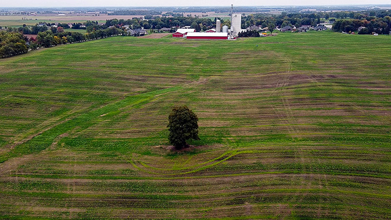 Aerial view of field with cover crops