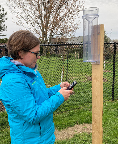 Person holding cell phone stands outside next to plastic rain gauge mounted on a wooden post.