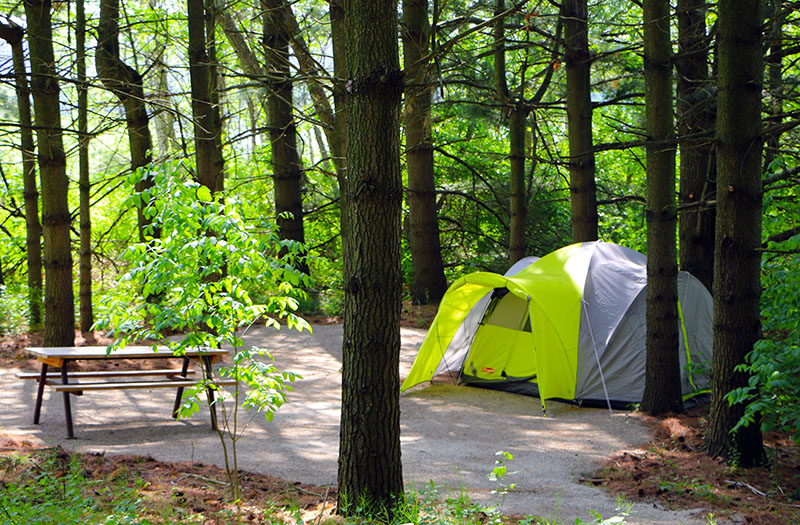 Back country camping at Pittock Conservation Area