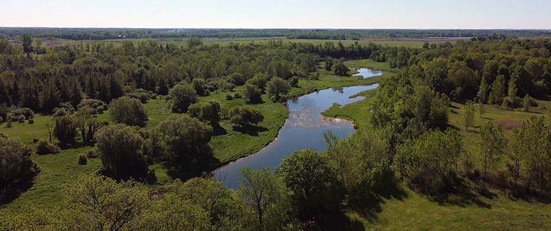 Aerial view of river flowing through fields and trees