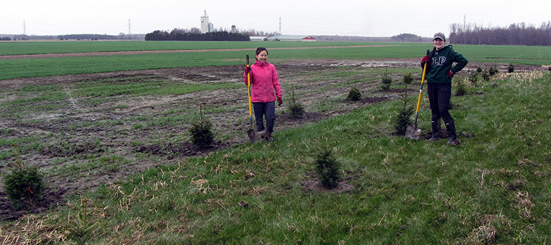 Two UTRCA staff stand in a farm field next to small trees they have just planted