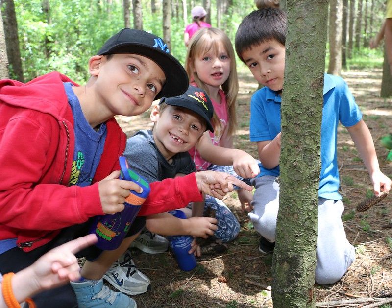 Children gather around a small tree in the woods