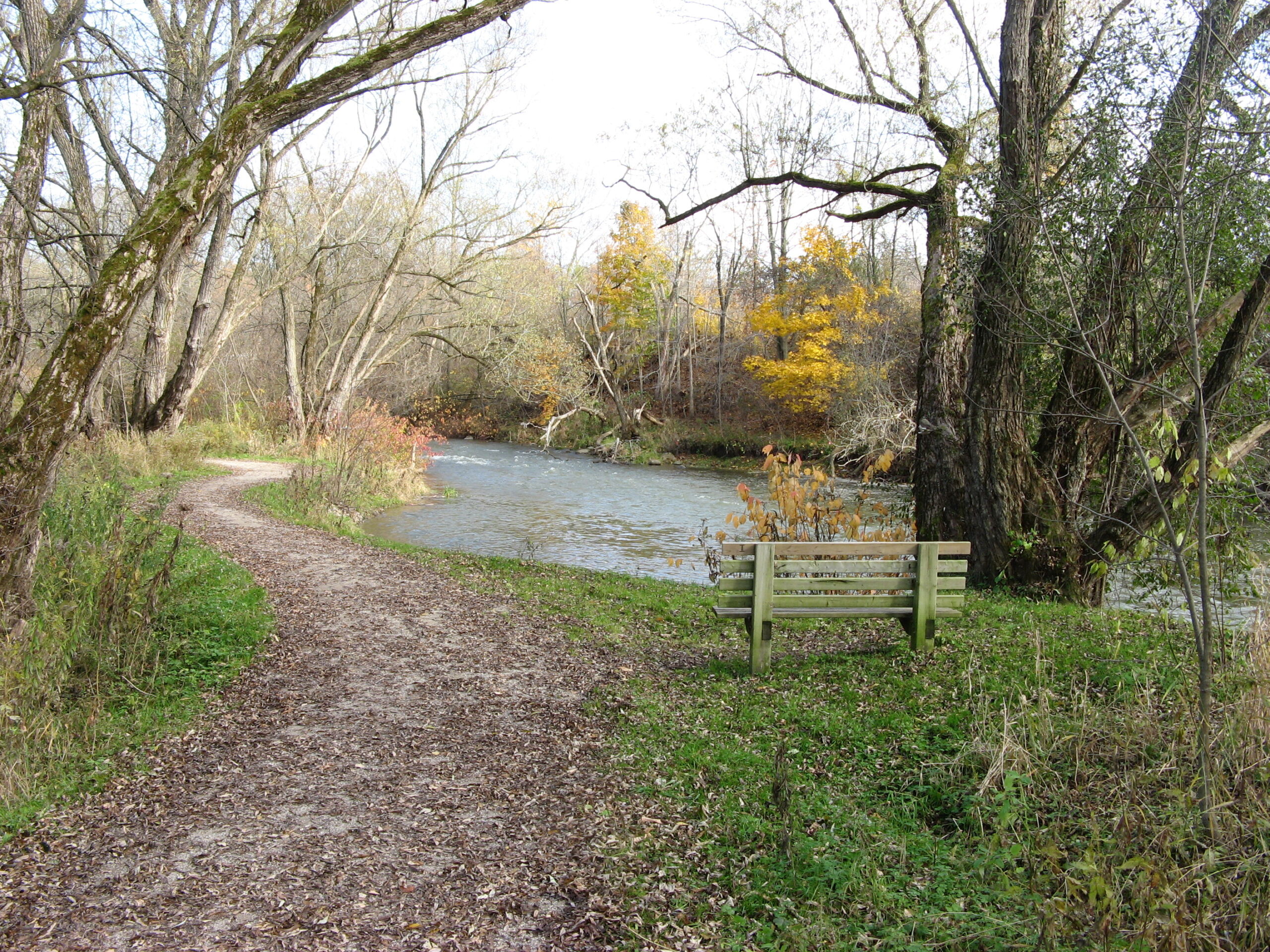 A dirt trail meanders along a river.