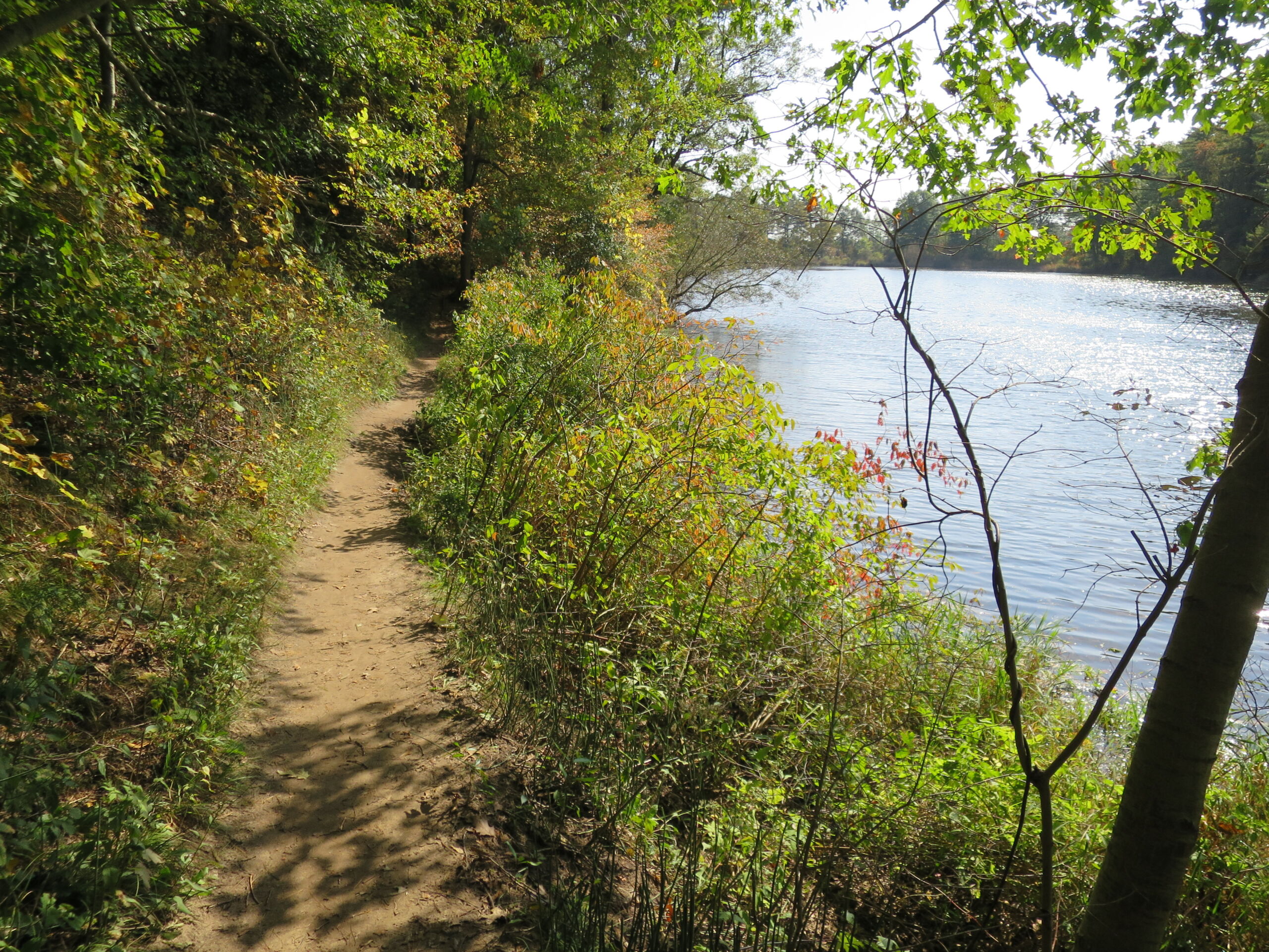 A trail next to a lake.