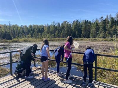 Five students look into a pond while standing on a viewing platform