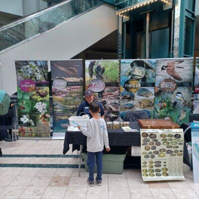 A child stands in front of an UTRCA display table
