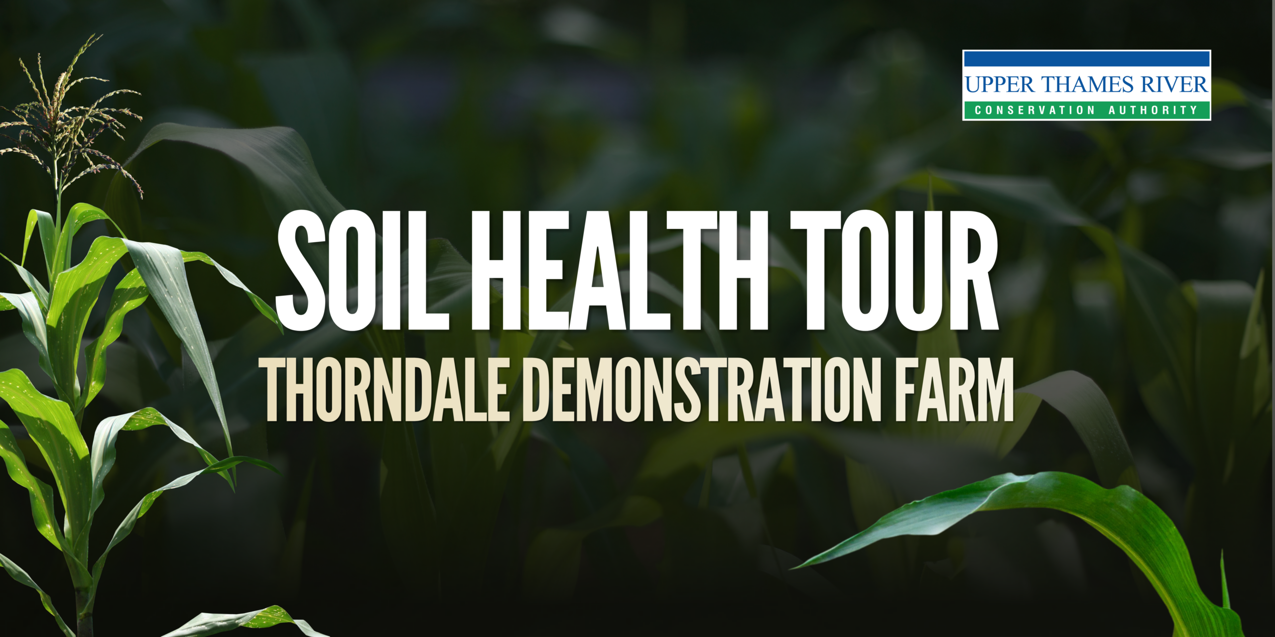 Thorndale Demonstration Farm Soil Health Tour