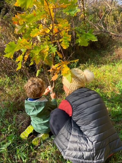 A mom and toddler are examining leaves up close