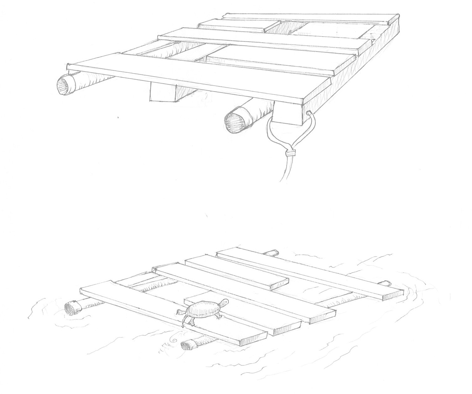Floating turtle structure 4 CQ
