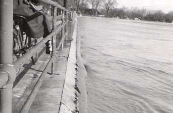 View of West London Dyke during the April 1947 Flood