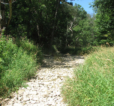 Dry creek bed with grass and trees next to it