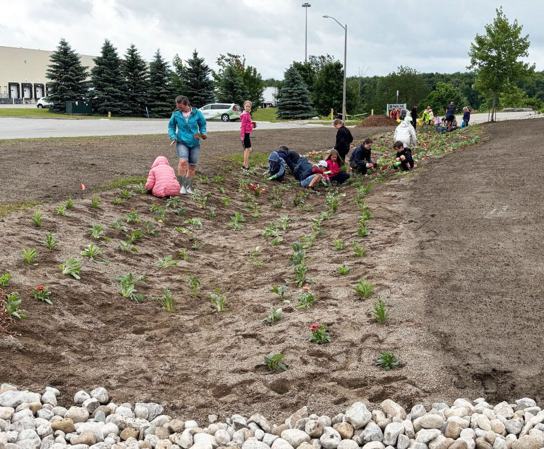 Students plant wildflowers in a rain garden.