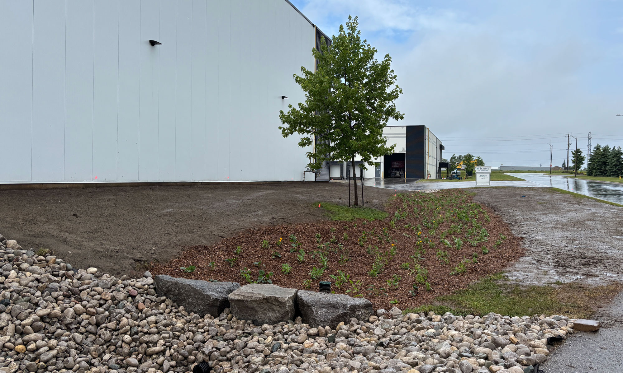 Rain garden soaking up stormwater, 2025