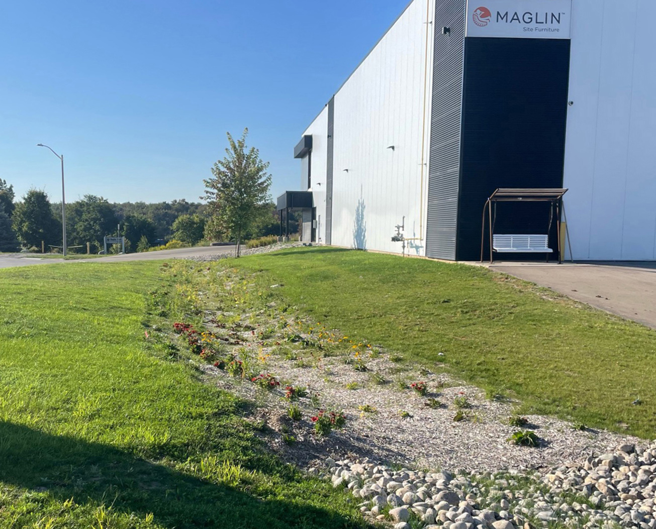 Newly planted rain garden next to a large building.