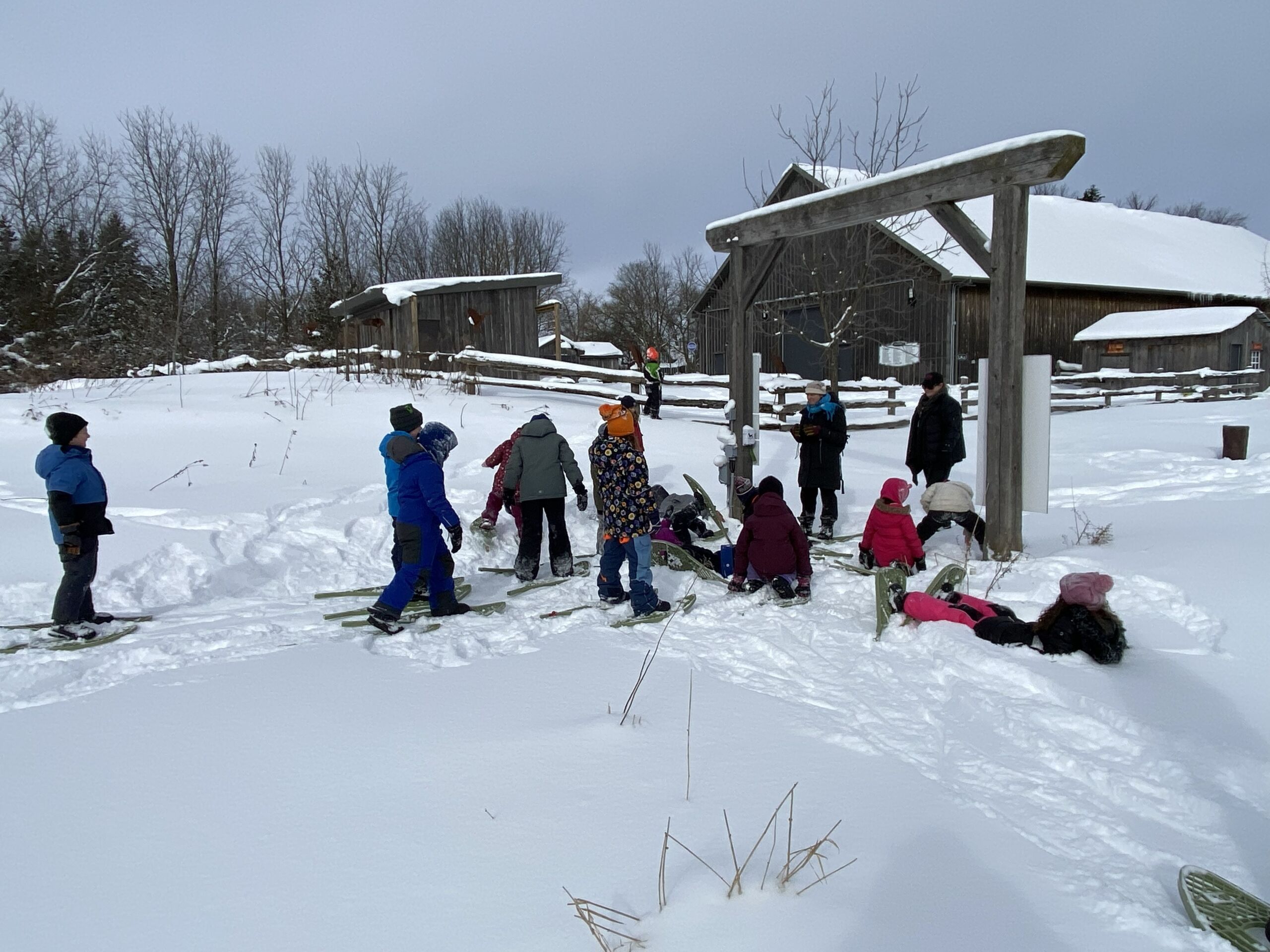 IMG_0412 Snowshoeing
