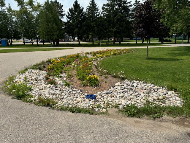 rain garden