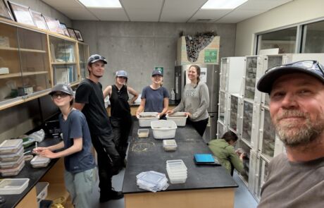 Turtle Lab