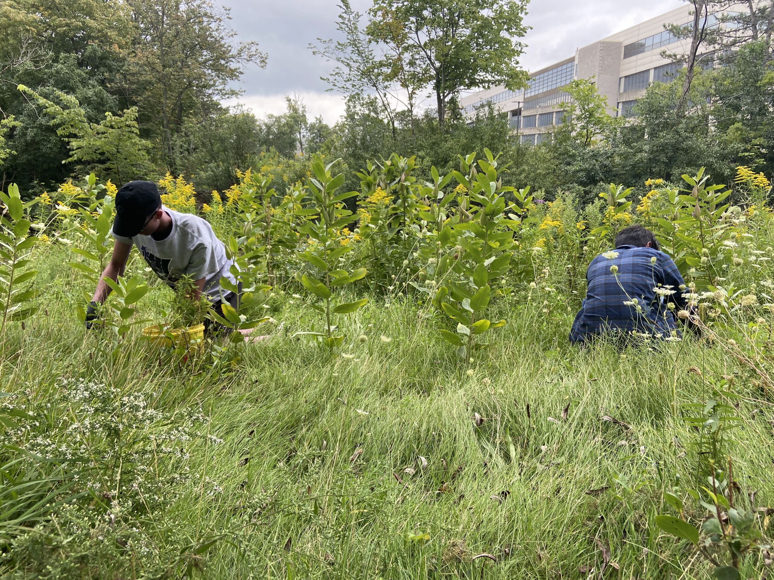 Two people kneel in a grassy area to plant plants.