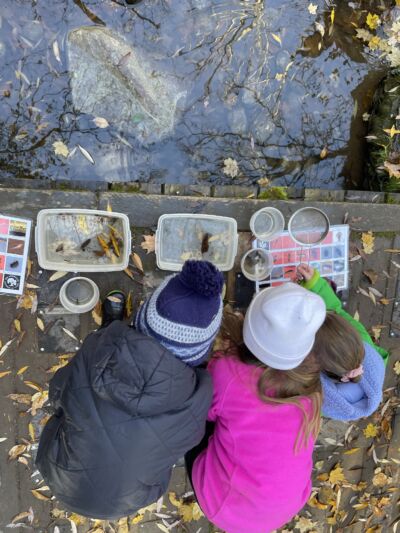Three kids looking into containers they've collected stream water in