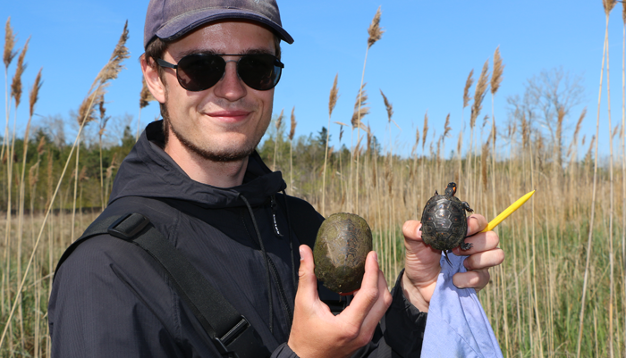 UTRCA staff holds two turtles