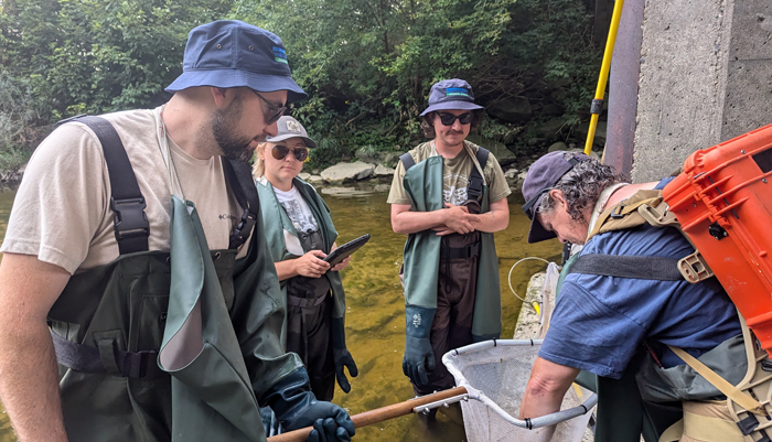 UTRCA staff electrofishing