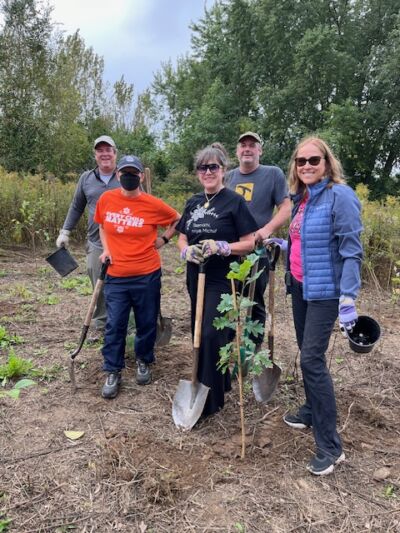 Five people stand around a recently planted tree with shovels