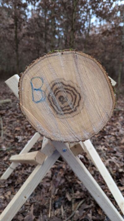 The end of a stump with the letter B marked on it