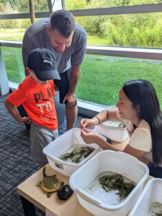 A volunteer holds a baby turtle in her hand to show a young boy