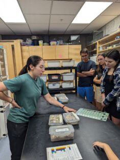 A staff speaks to a small group in front of a container with turtle eggs