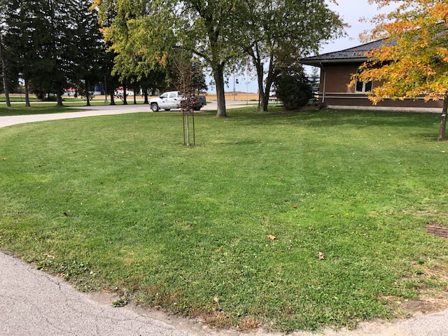 Lawn