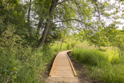 Boardwalk leading into grassy trail