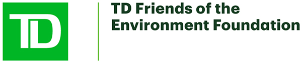 TD Friends of the Environment Foundation logo, consisting of green square with letters TD, vertical line, and foundation name