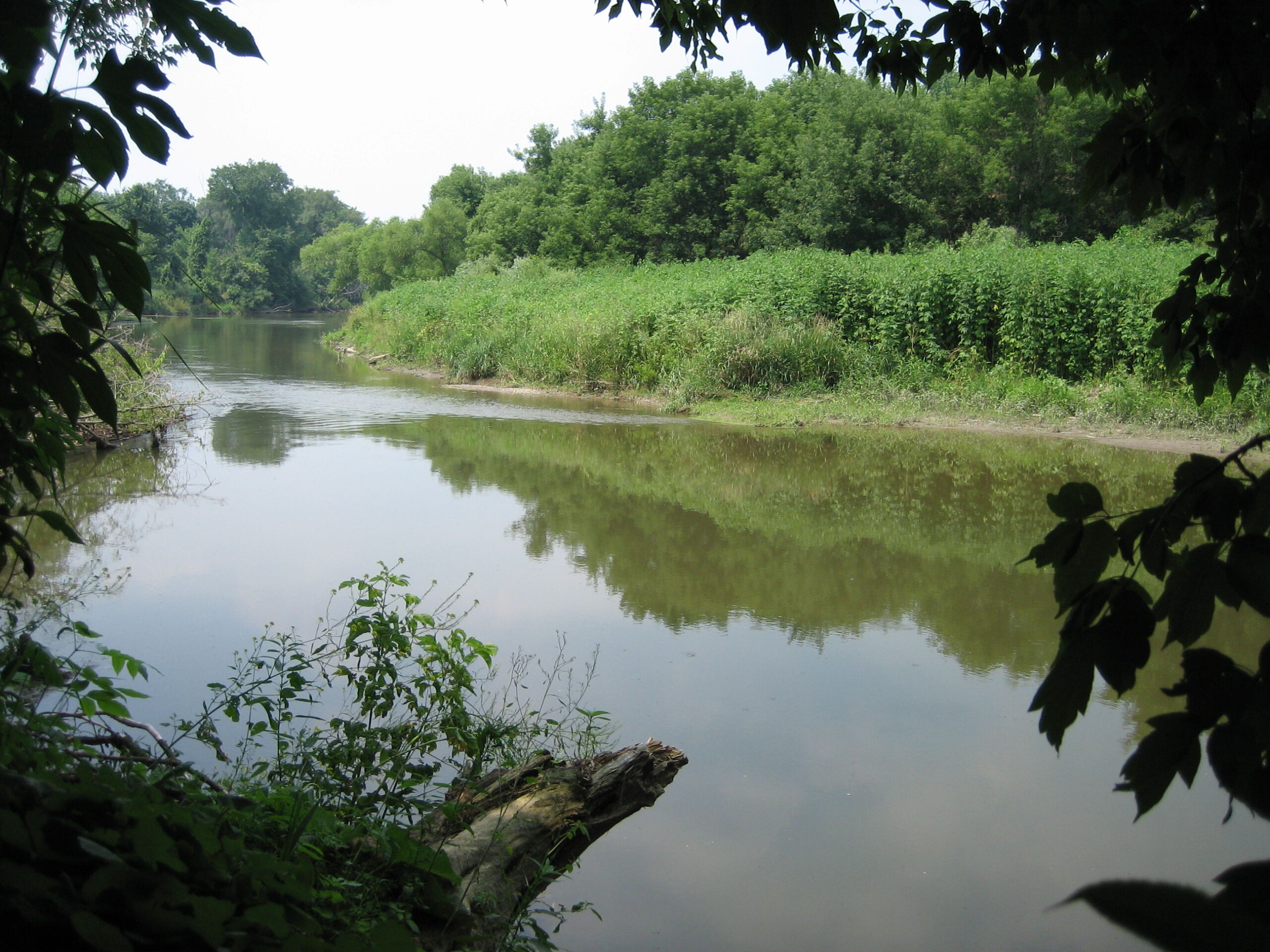 Thames River through Ivey Tract