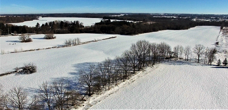 Aerial view of farm fields and trees in the winter