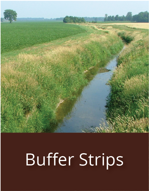 link to buffer strips